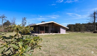 Billede 5